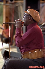 Sonny Terry in Concert