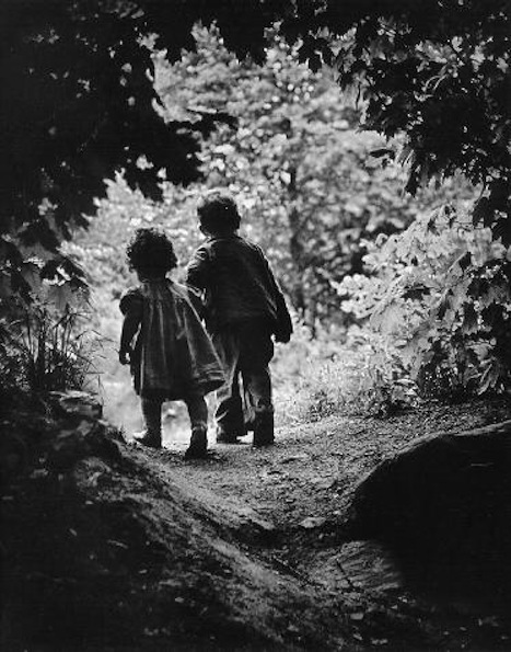 The Walk to Paradise Garden