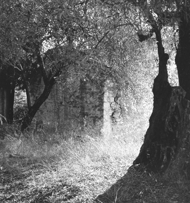 Sudden Shadow