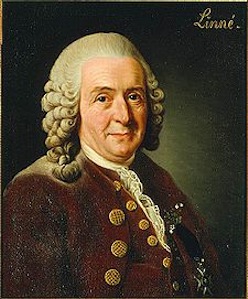 Carl Linnaeus (Carl von Linné)<br />Carl Linnaeus (Carl von Linné)<br />